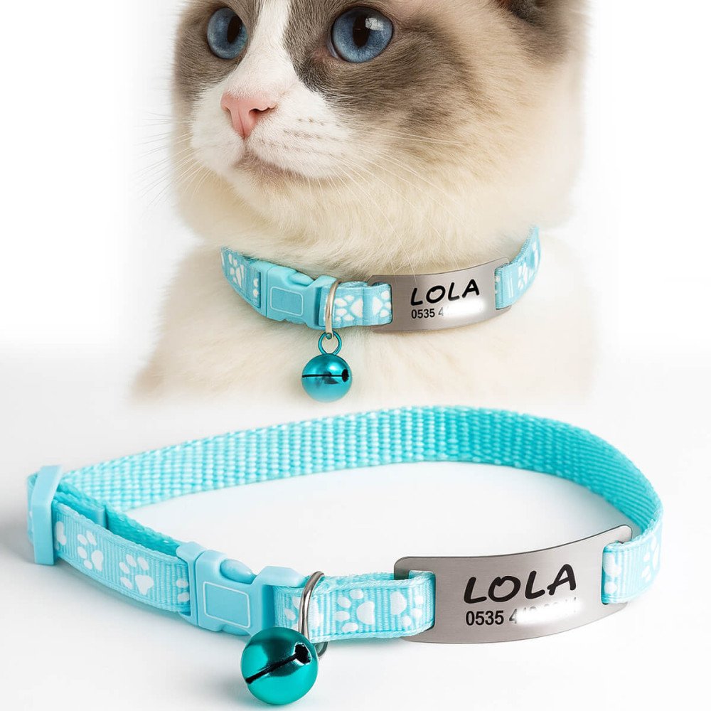 Buz Mavisi Kediler İçin Metal Künye ve Tasma Sallanmayan Tasma