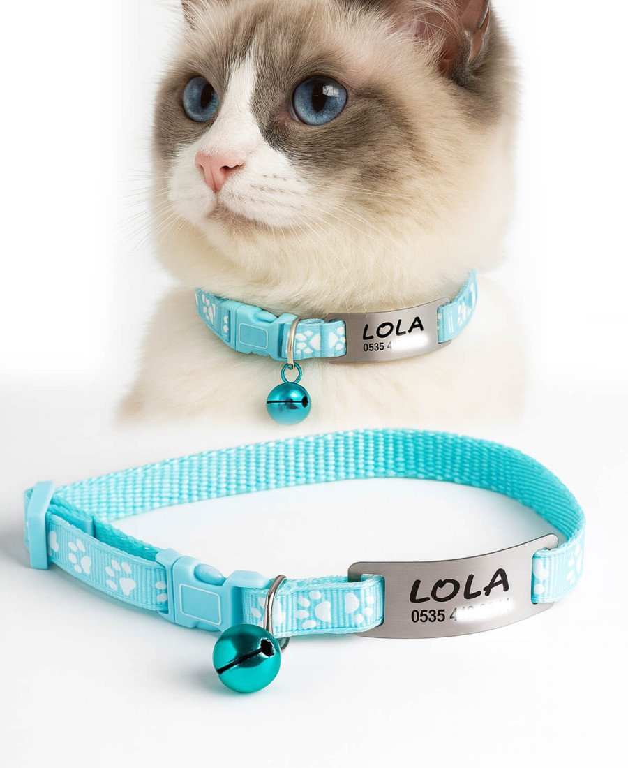 Buz Mavisi Kediler İçin Metal Künye ve Tasma Sallanmayan Tasma