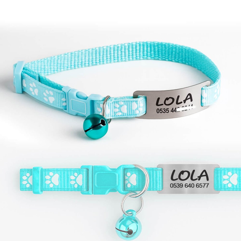 Buz Mavisi Kediler İçin Metal Künye ve Tasma Sallanmayan Tasma