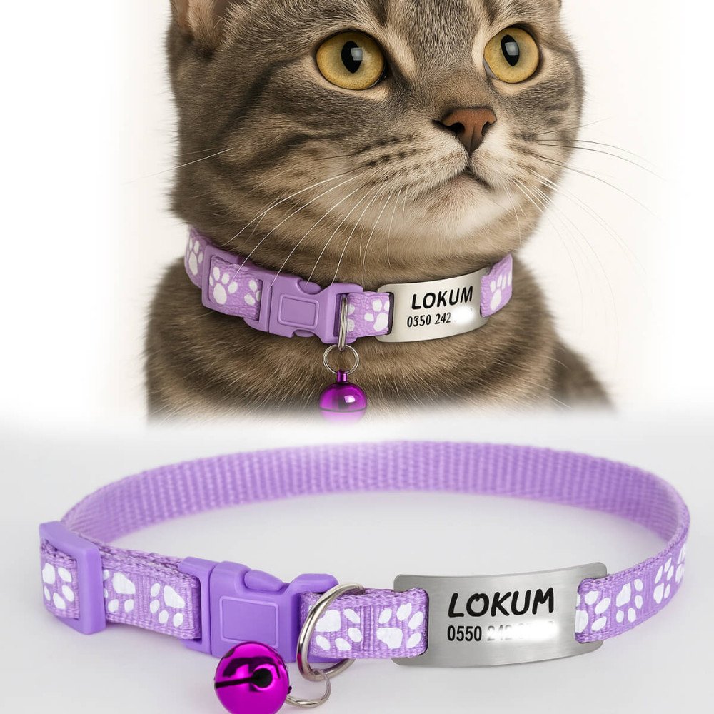 Lila Kediler İçin Metal Künye ve Tasma Sallanmayan Tasma