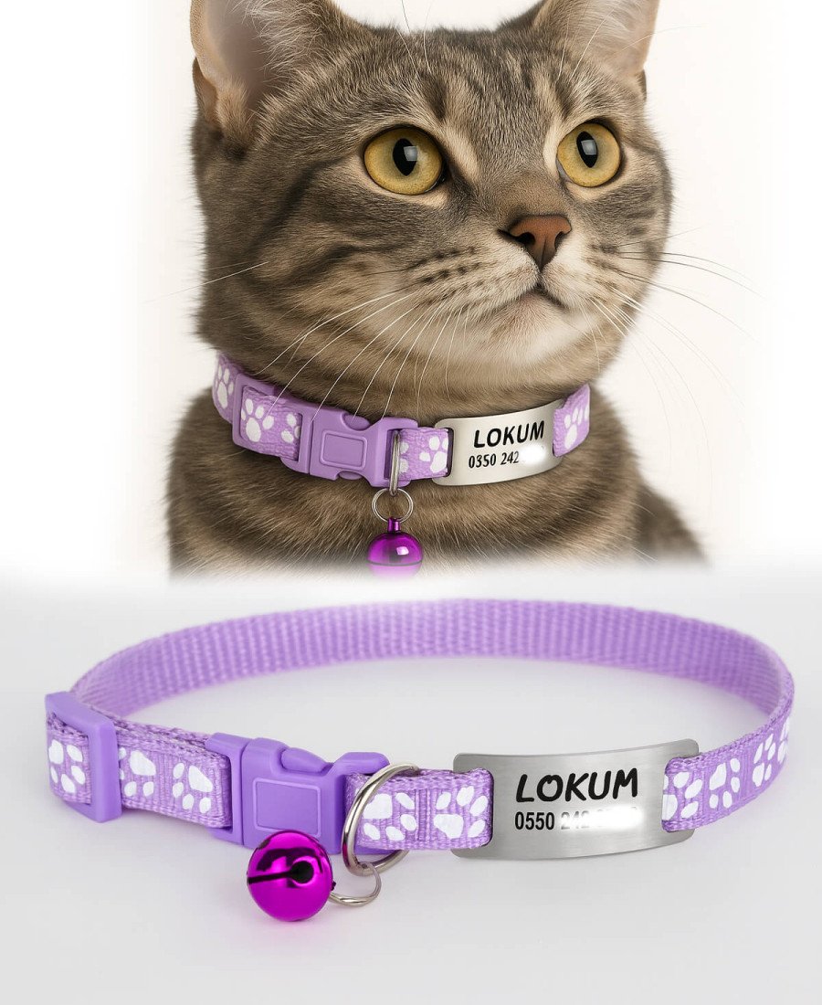 Lila Kediler İçin Metal Künye ve Tasma Sallanmayan Tasma