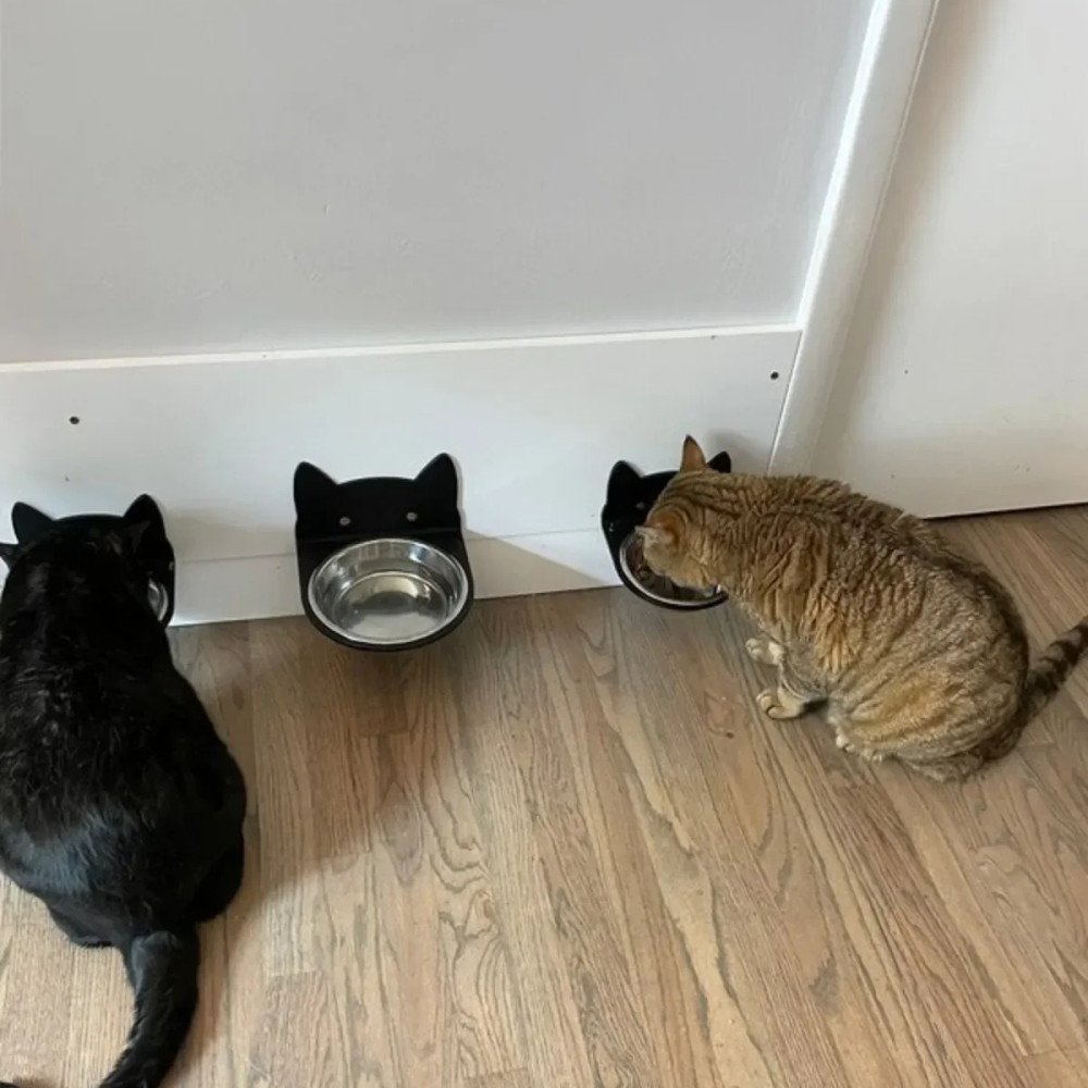 Siyah Pleksi Tek Kaseli Duvara Sabitlenen Mama Kabı 