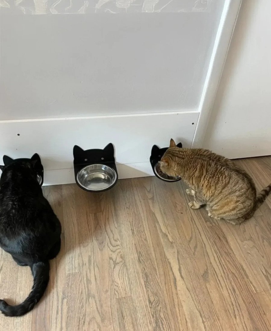 Siyah Pleksi Tek Kaseli Duvara Sabitlenen Mama Kabı 