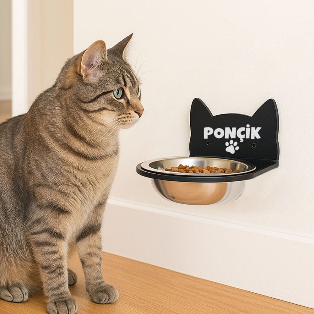 Siyah Pleksi Tek Kaseli Duvara Sabitlenen Mama Kabı 