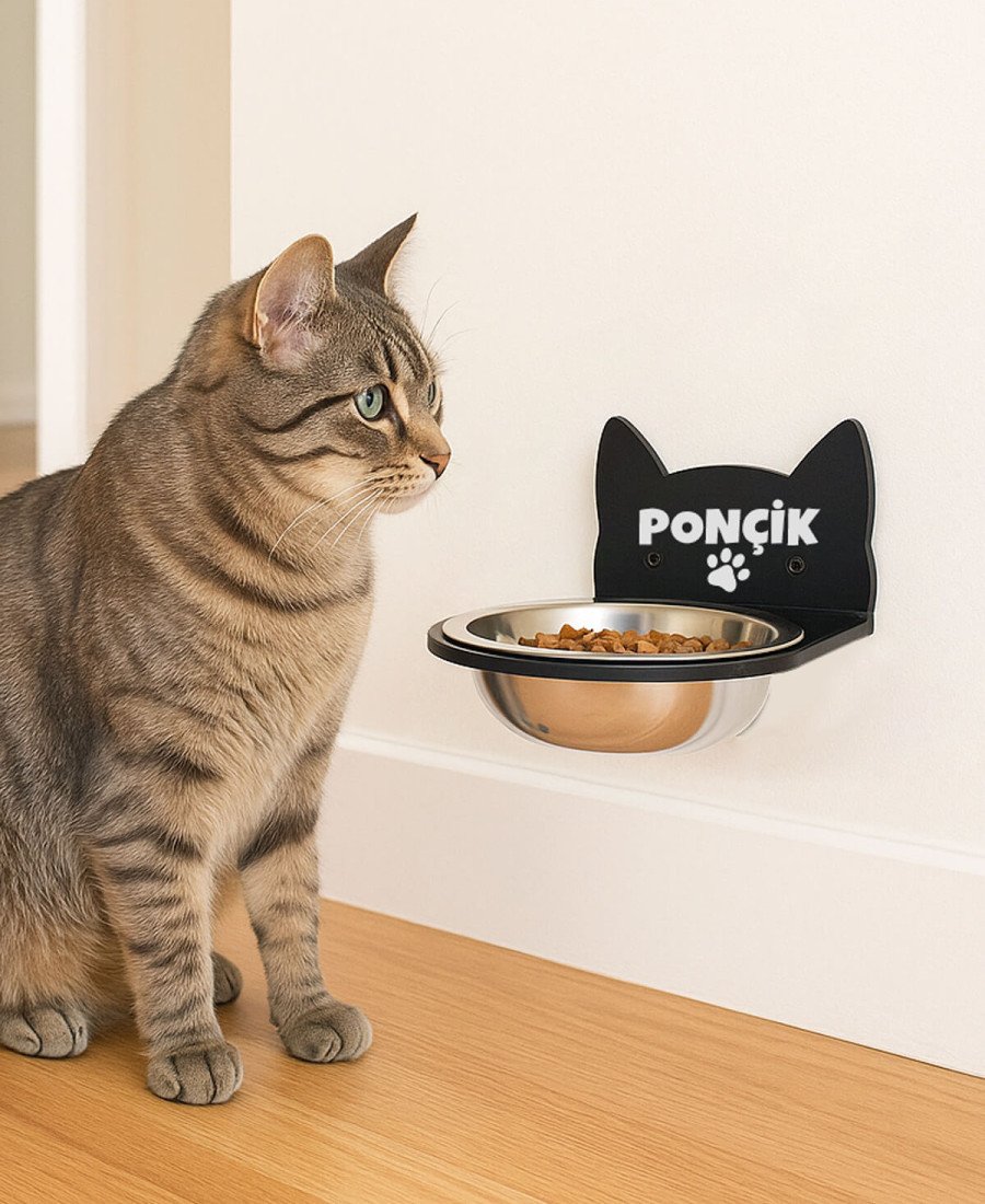 Siyah Pleksi Tek Kaseli Duvara Sabitlenen Mama Kabı 