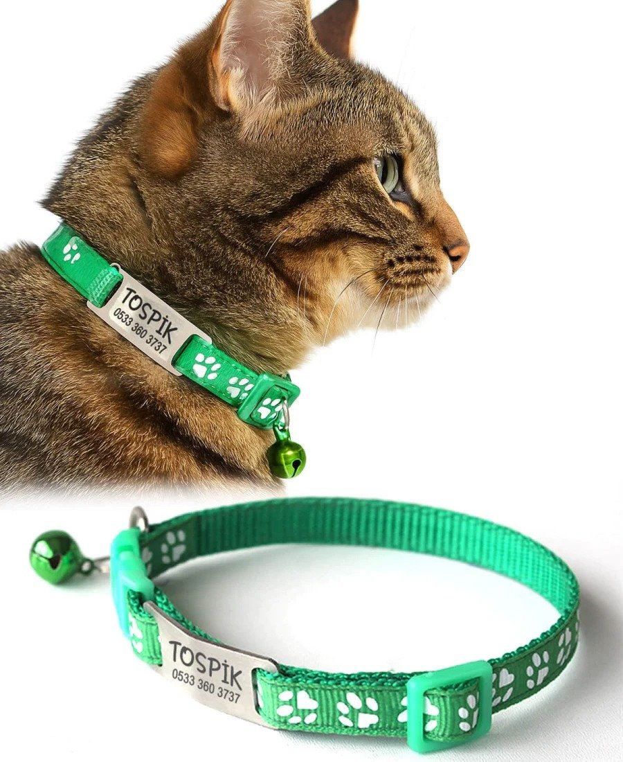 2'li Tasma ve Metal Künye Seti Sarı Yeşil Tasma Metal Künye