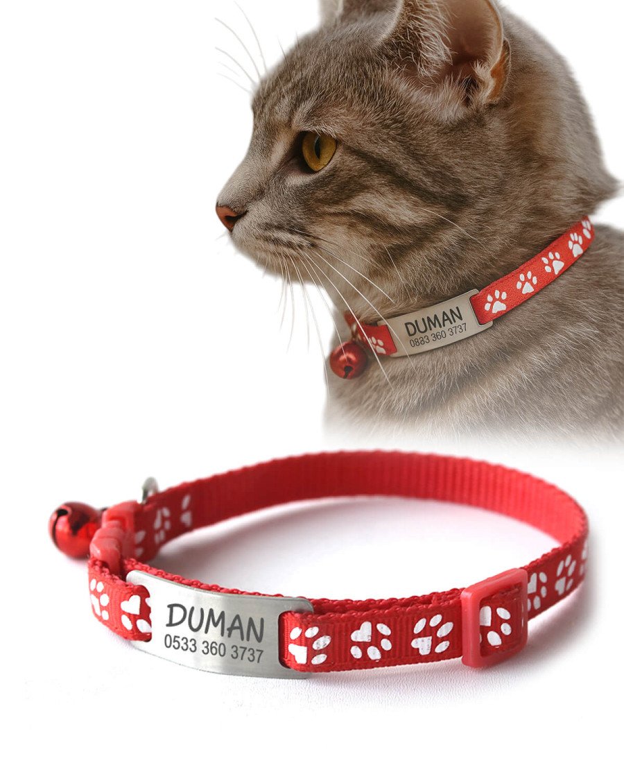 Kediler İçin Metal Künye ve Kırmızı Tasma Sallanmayan Tasma
