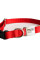 İsimlikli Kırmızı Küçük Orta Irk Köpek Tasması 21-35 cm