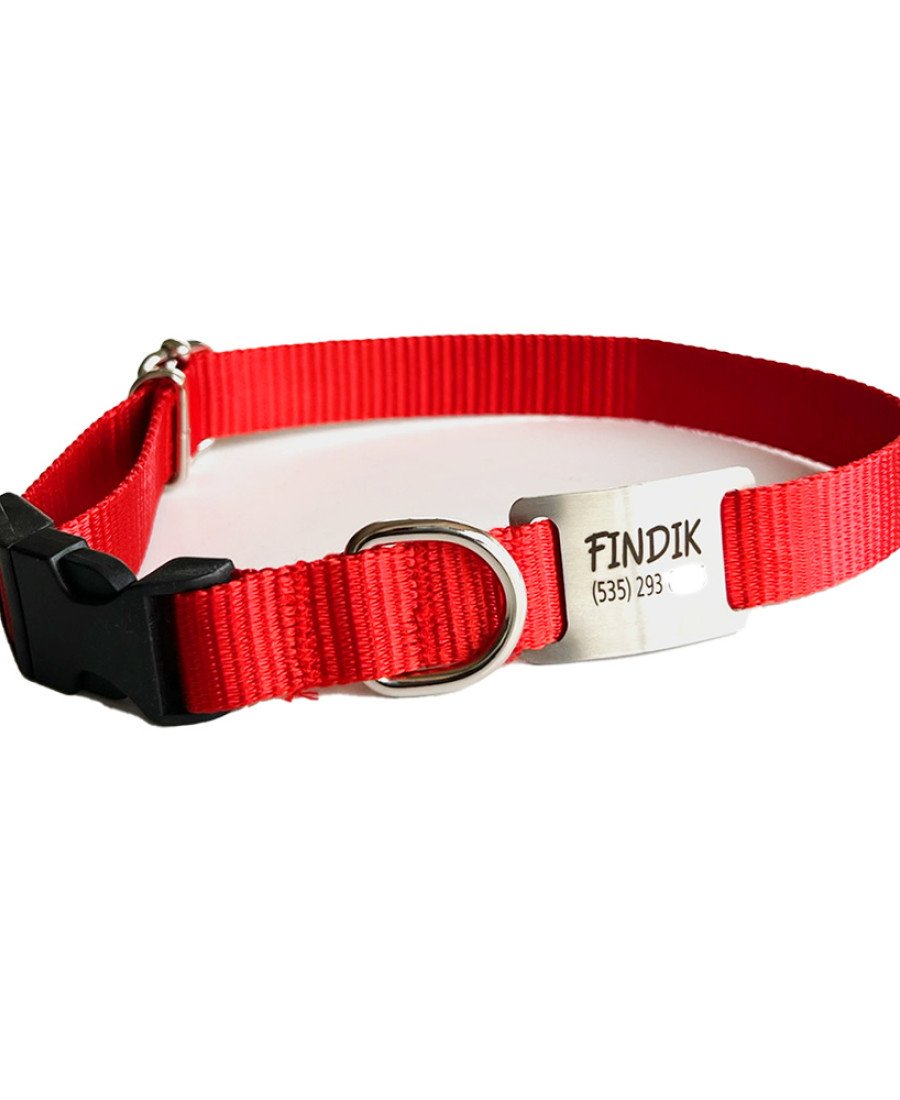 İsimlikli Kırmızı Küçük Orta Irk Köpek Tasması 21-35 cm