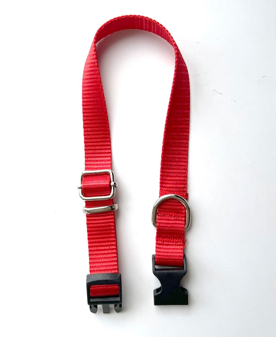 İsimlikli Kırmızı Küçük Orta Irk Köpek Tasması 21-35 cm