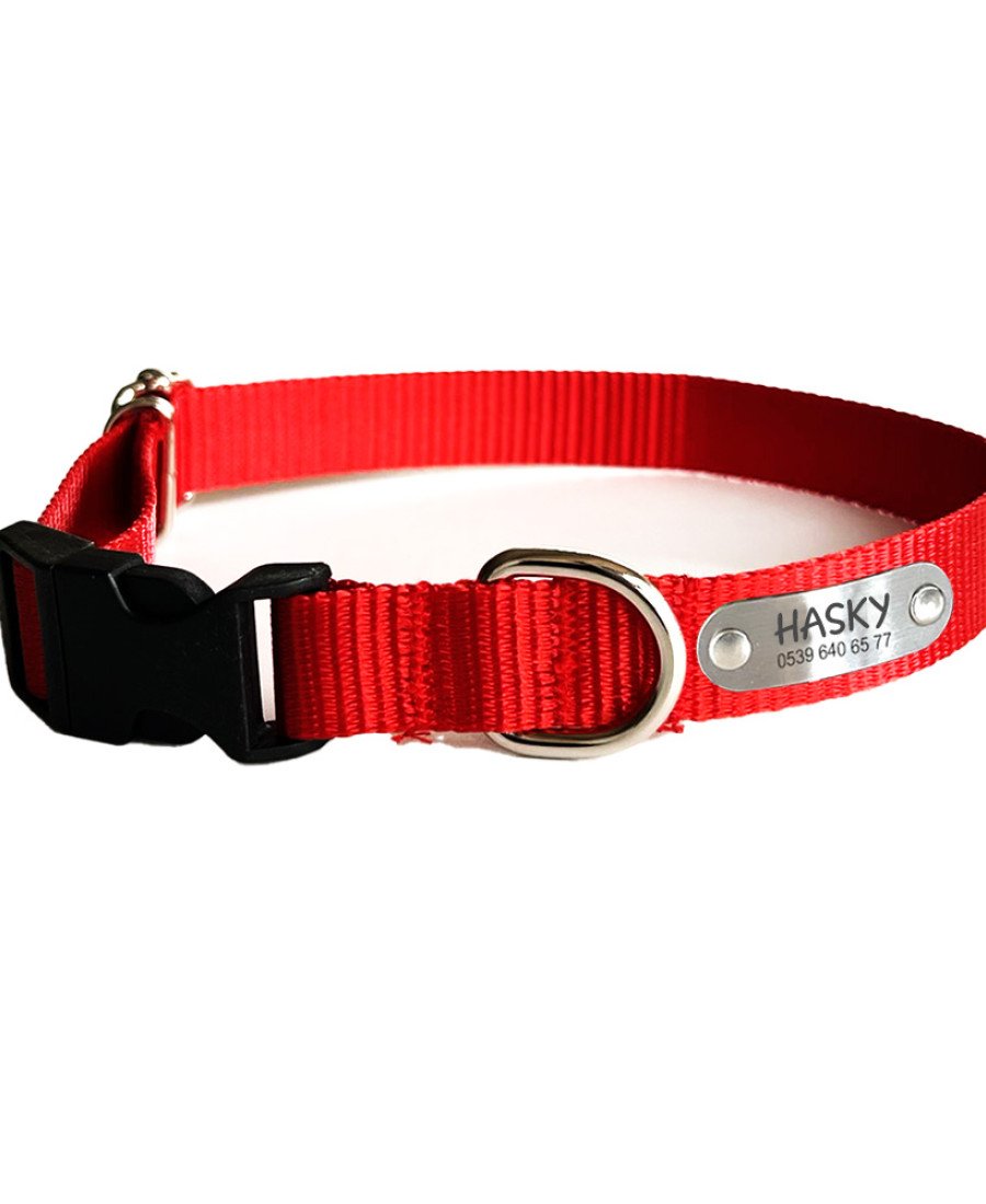 Sabit İsimlikli Kırmızı Küçük Orta Irk Köpek Tasması 21-35 cm