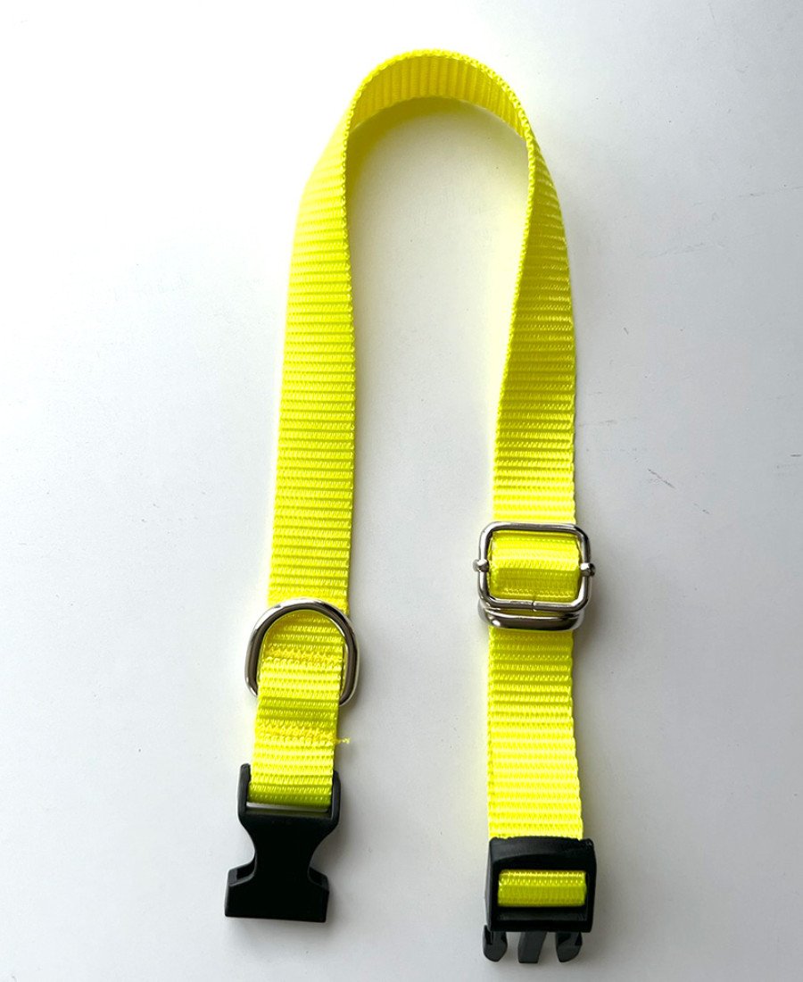 İsimlikli Sarı Küçük Orta Irk Köpek Tasması 21-35 cm