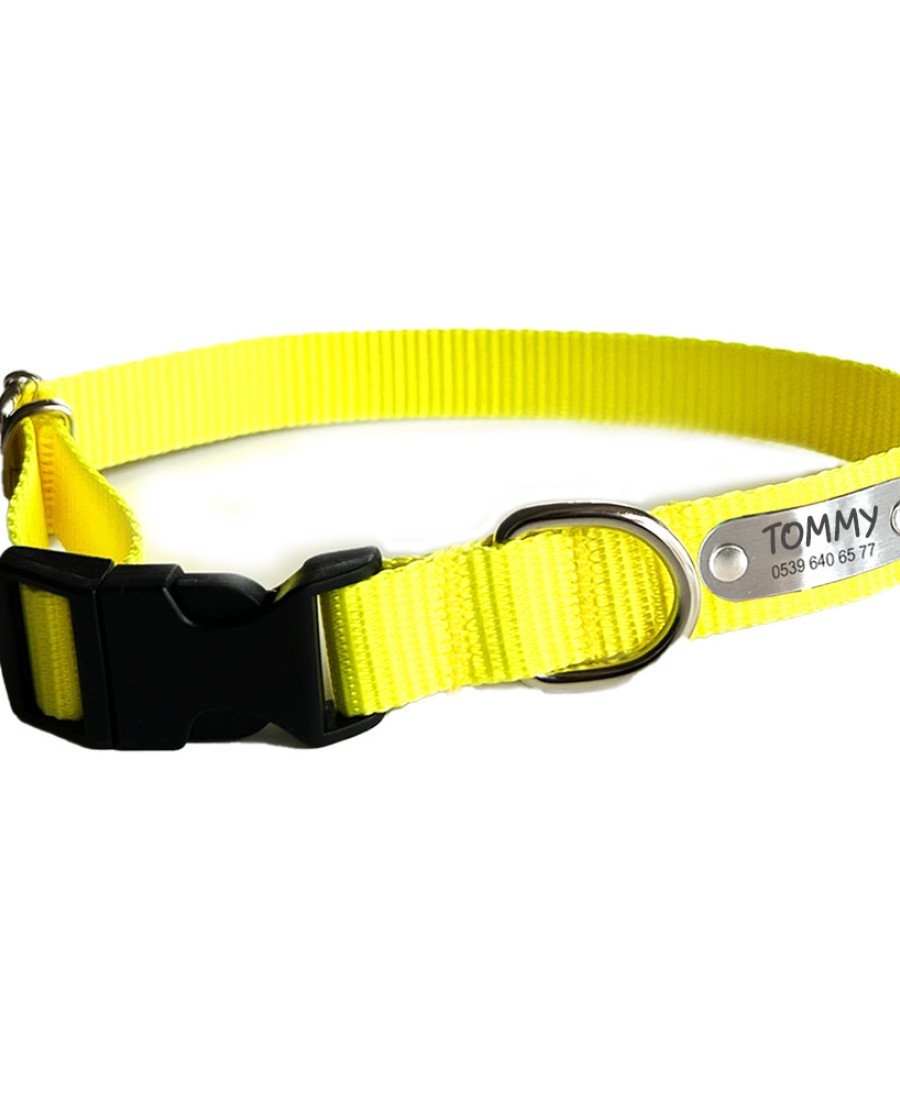 Sabit İsimlikli Sarı Küçük Orta Irk Köpek Tasması 21-35 cm