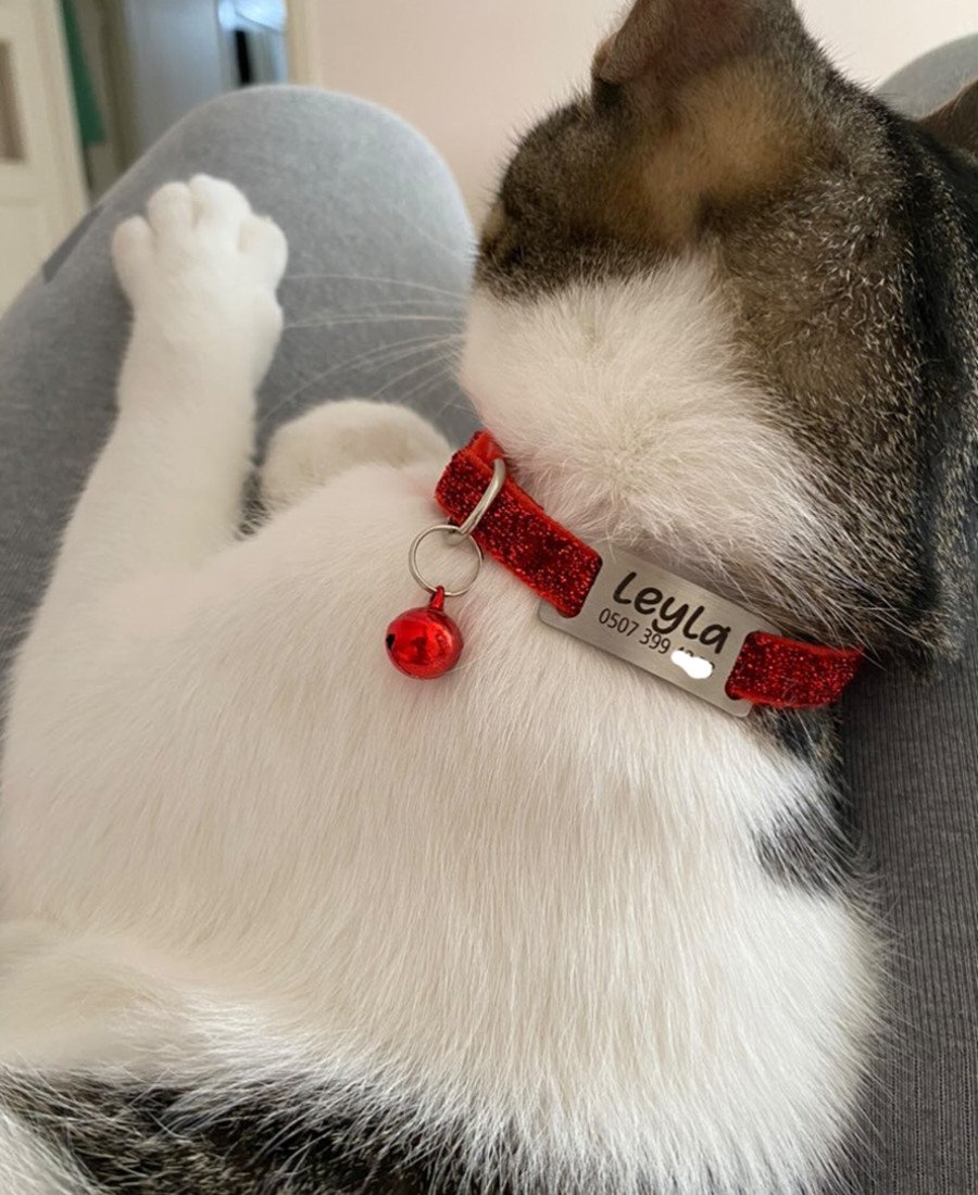 Safety Click Sim Desenli Sallanmayan Tasma Künye