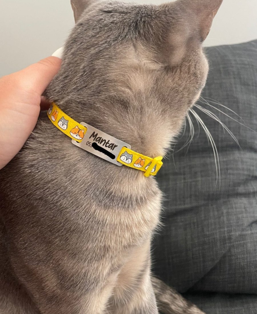 Kedi Kafası Desenli Metal Künye ve Tasma Sallanmayan Tasma