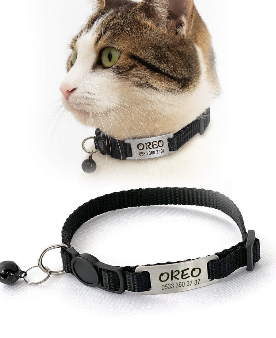 Düz Siyah Safety Click Tasma İsimlikli Güvenlik Kilitli Sallanmayan Tasma 