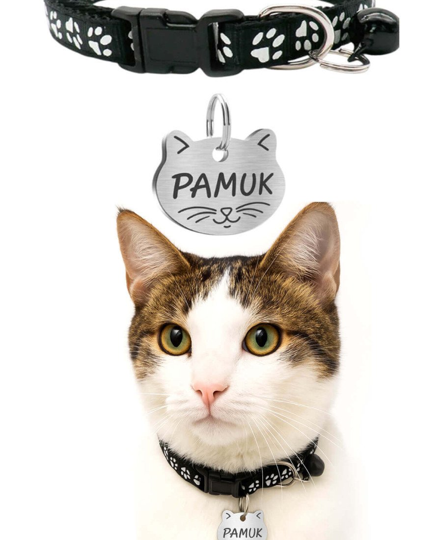 Kediler İçin Metal Künye ve Siyah Tasma