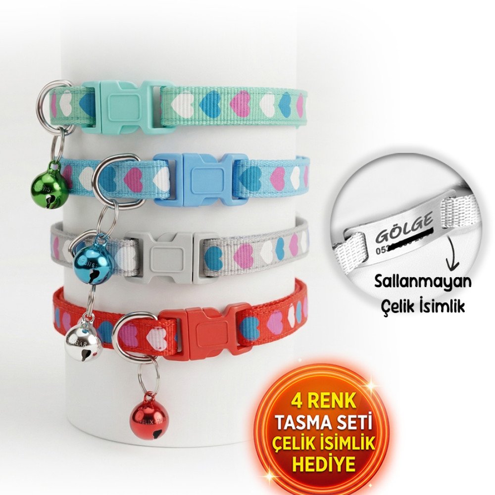 4 Renk Kedi Tasması Seti Çelik İsimlik Hediyeli Kalp Desen 1