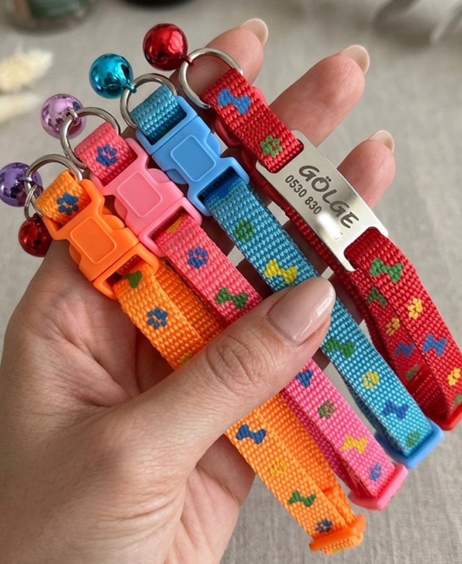 4 Renk Kedi Tasması Seti Çelik İsimlik Hediyeli Pati Desen 1