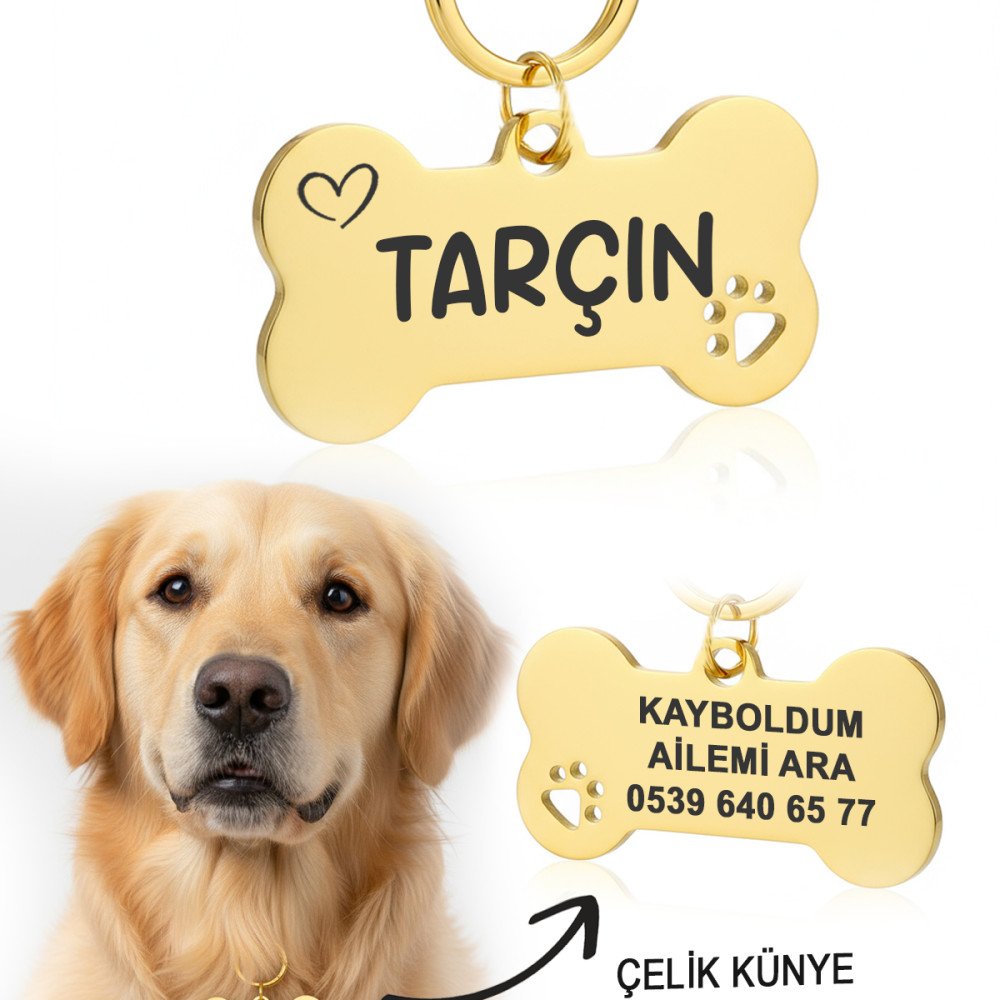 Gold Altın Renk Çelik Köpek Künyesi Paslanmaz Çelik