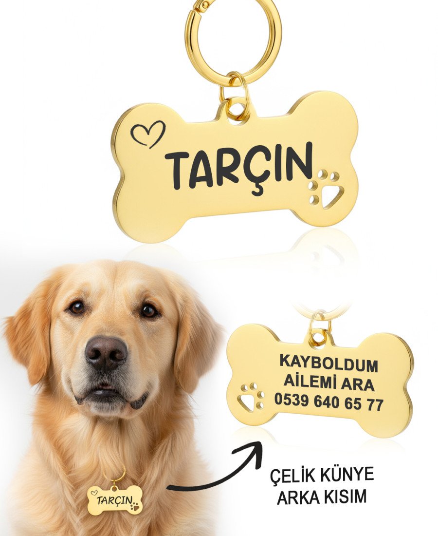 Gold Altın Renk Çelik Köpek Künyesi Paslanmaz Çelik