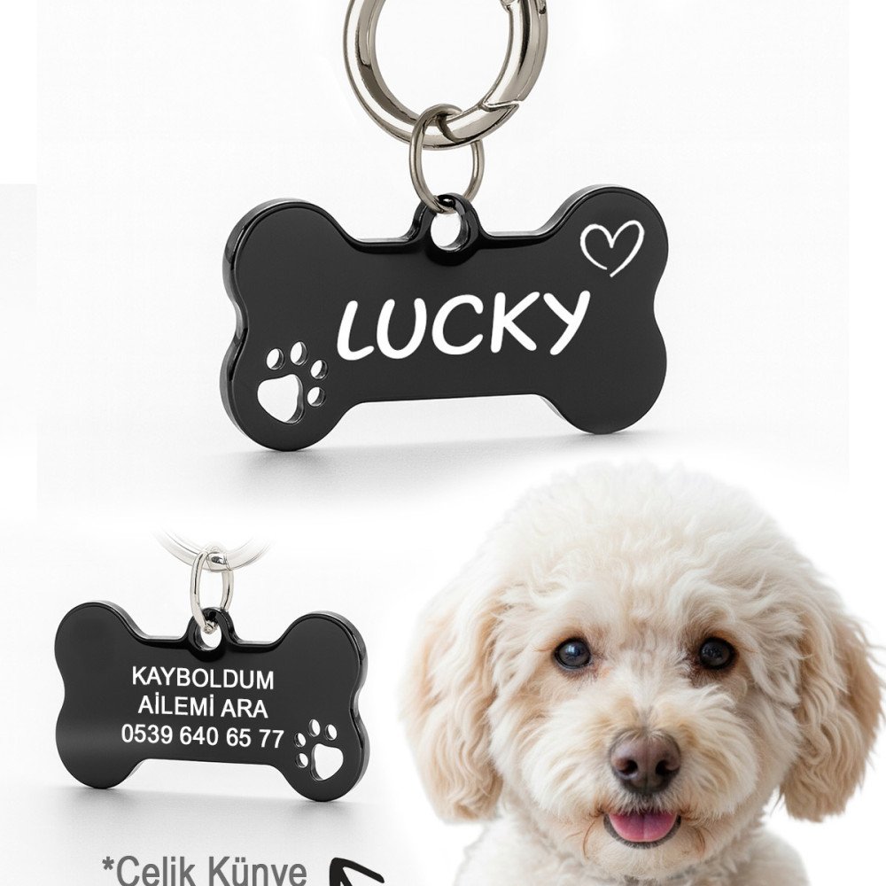 Siyah Parlak Renk Çelik Köpek Künyesi Paslanmaz Çelik