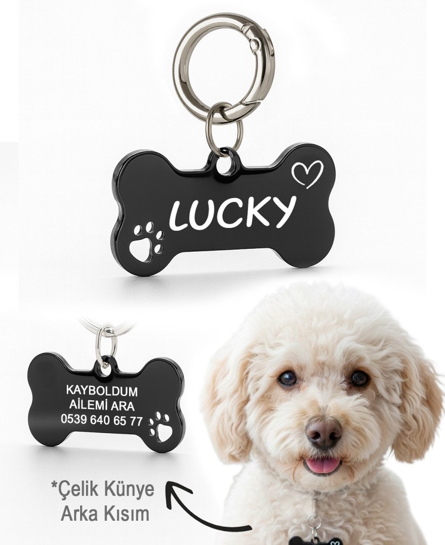 Siyah Parlak Renk Çelik Köpek Künyesi Paslanmaz Çelik