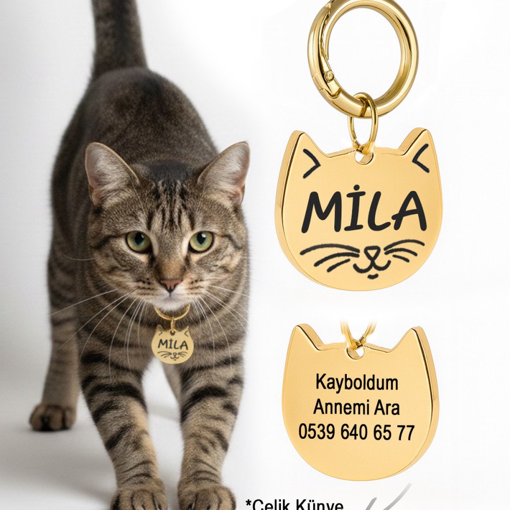 Gold Altın Renk Çelik Kedi Künyesi Paslanmaz Çelik