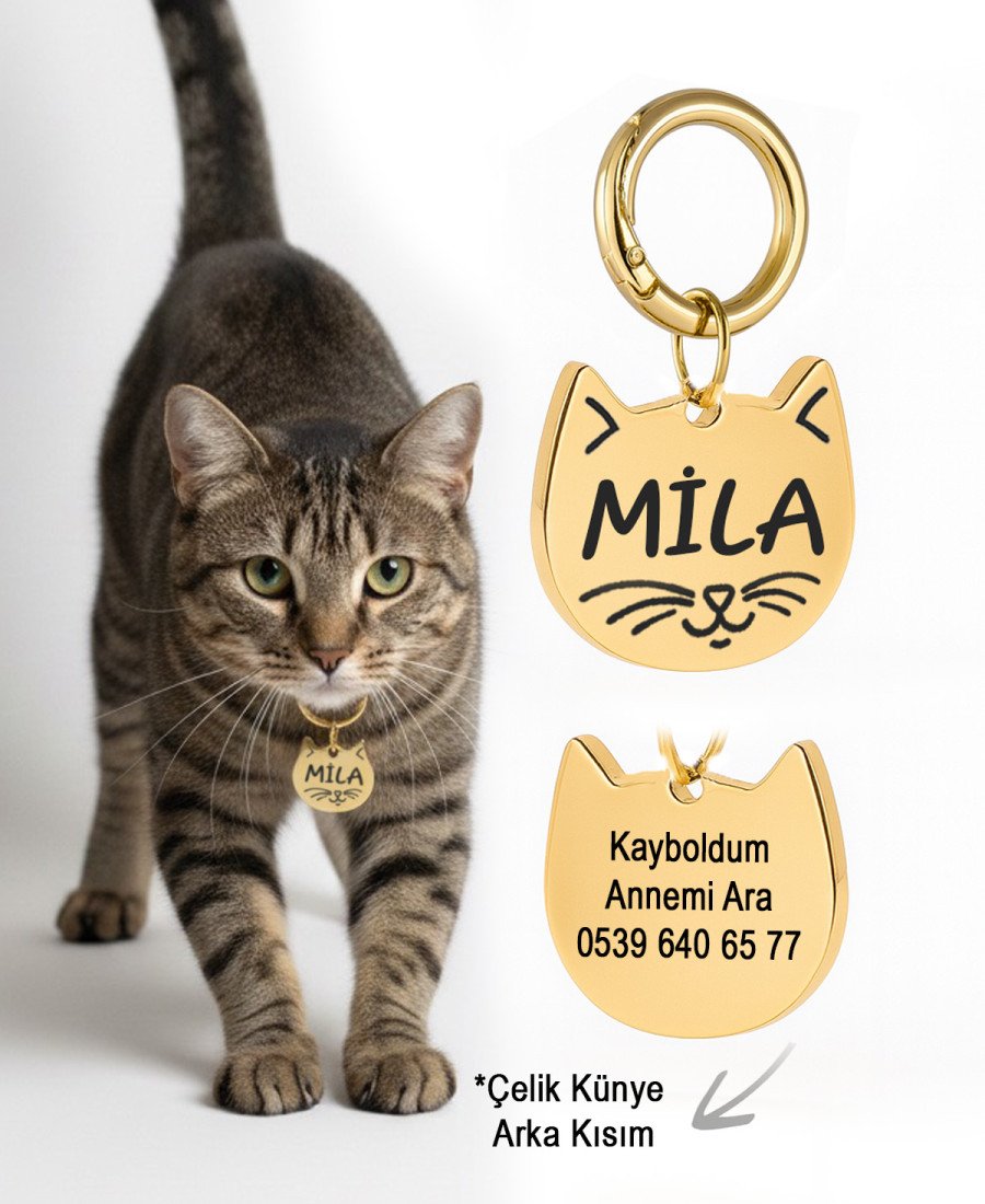 Gold Altın Renk Çelik Kedi Künyesi Paslanmaz Çelik