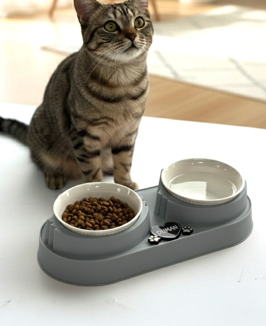 Gri Plastik Porselen Kaseli İsme Özel Mama Standı 