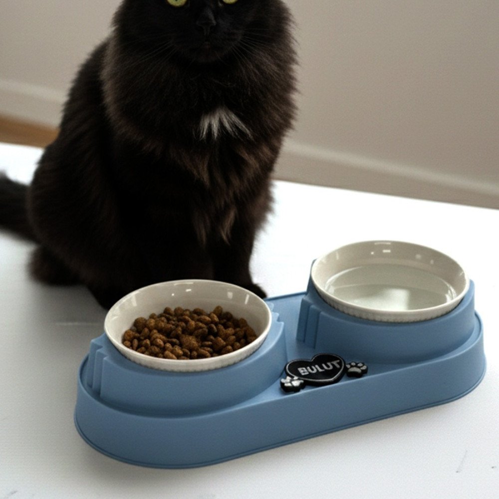 Mavi Plastik Porselen Kaseli İsme Özel Mama Standı 