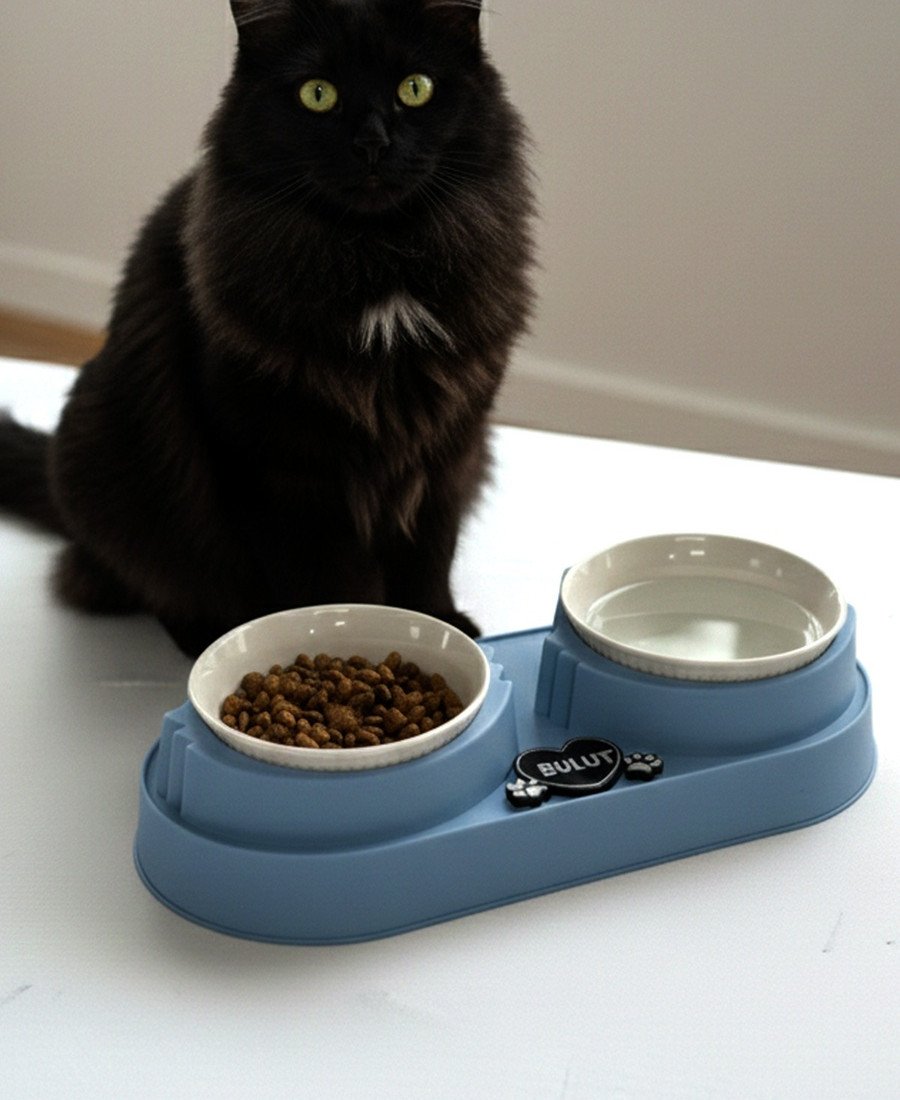 Mavi Plastik Porselen Kaseli İsme Özel Mama Standı 