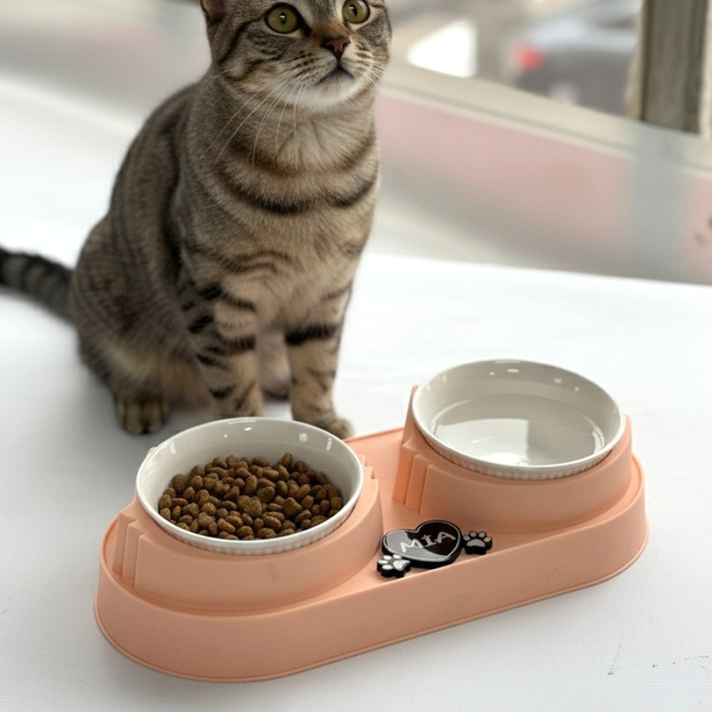 Pembe Plastik Porselen Kaseli İsme Özel Mama Standı 