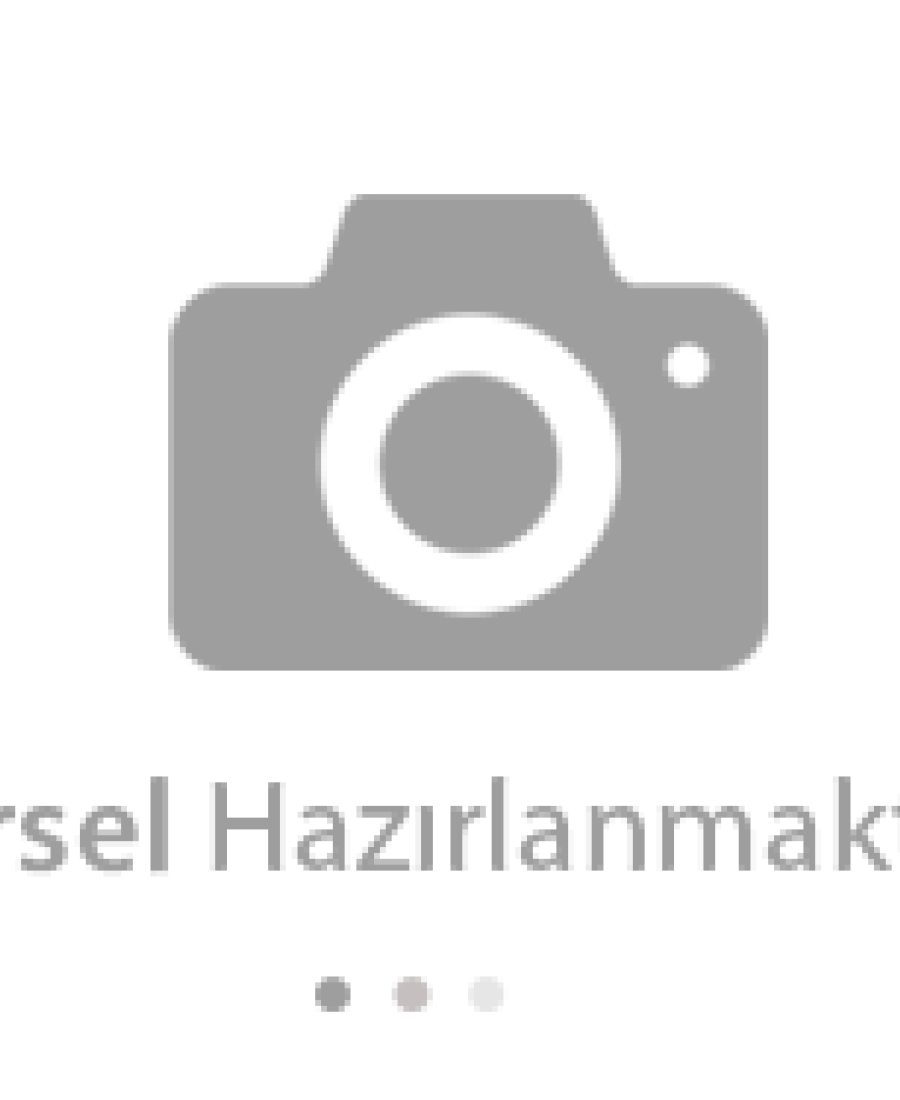 Sabit İsimlikli Etnik Desen Küçük Orta Irk Köpek Tasması 21-35 cm