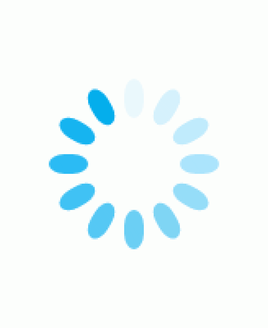 10LU PAKET ELASTİK KEDİ TASMASI RENKLİ