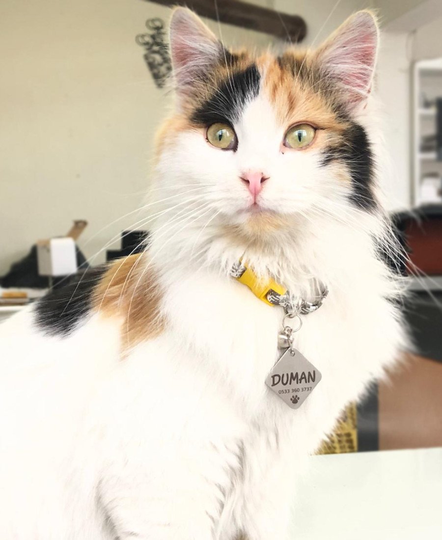 Metal Paslanmaz Çelik Kare Künye