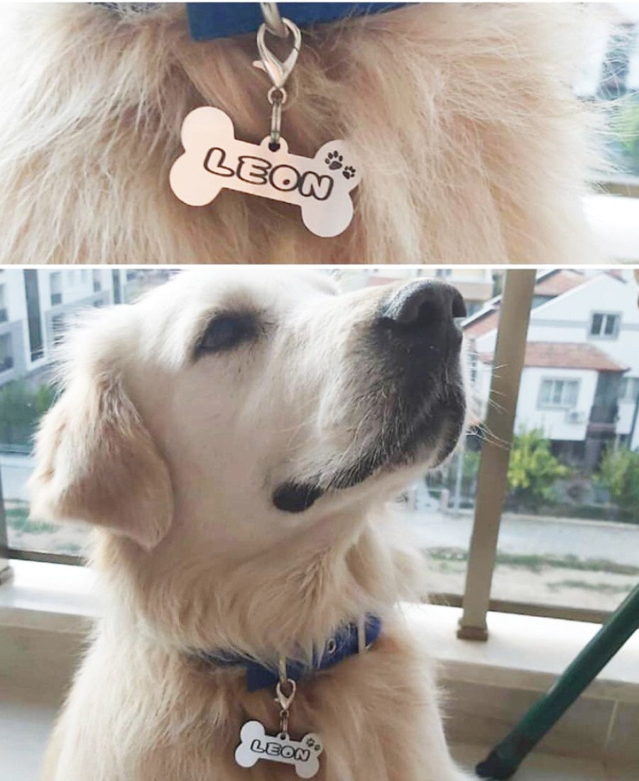 Kemik Metal Köpek Künyesi Paslanmaz Çelik