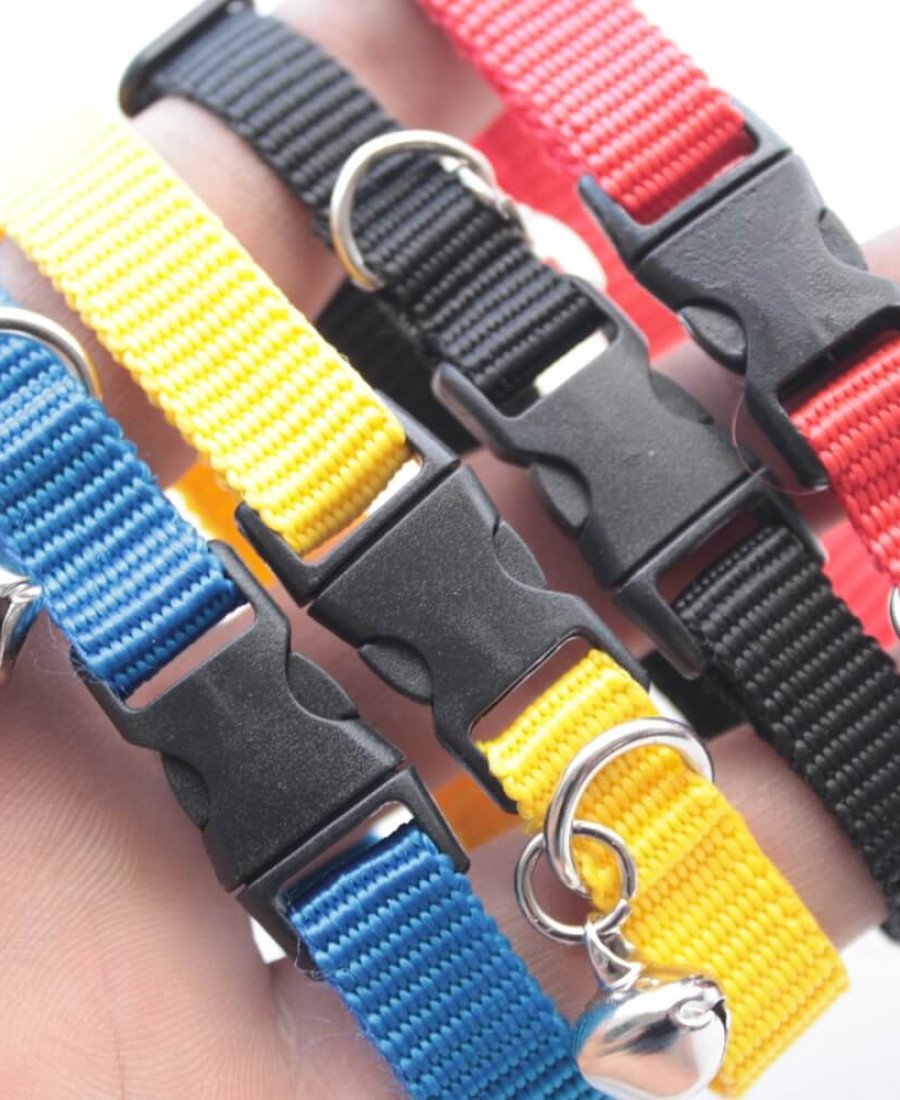 Düz Renk Kedi Tasması Küçük Irklar İçin