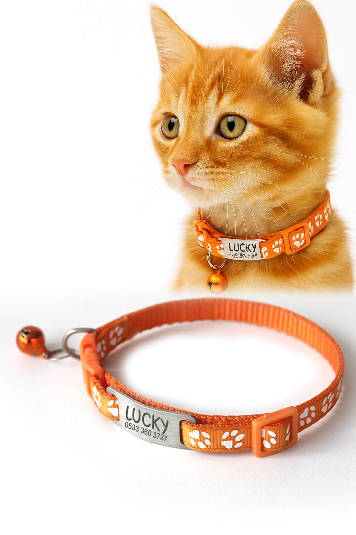 Kediler İçin Metal Künye ve Turuncu Tasma Sallanmayan Tasma