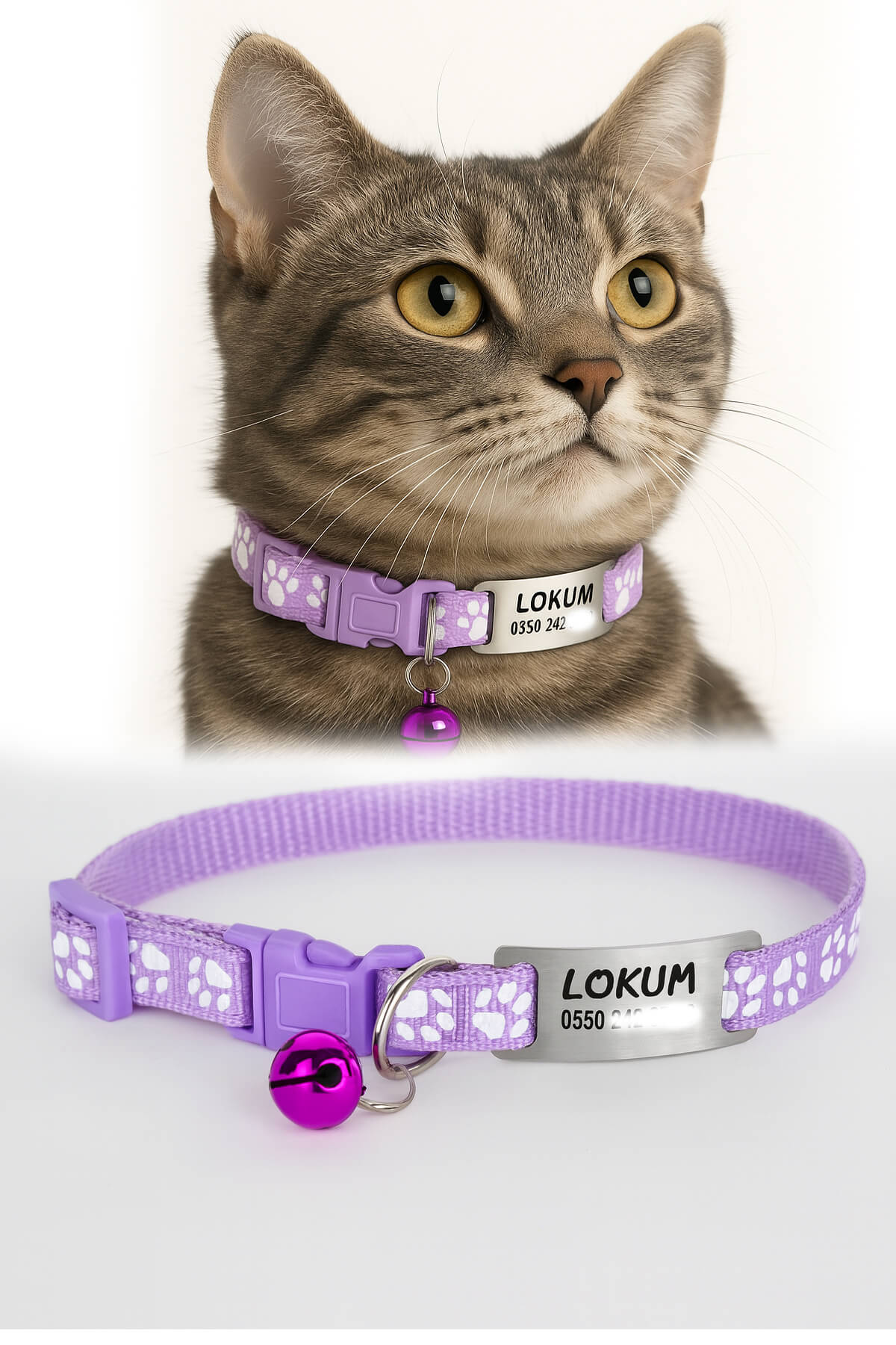 Lila Kediler İçin Metal Künye ve Tasma Sallanmayan Tasma